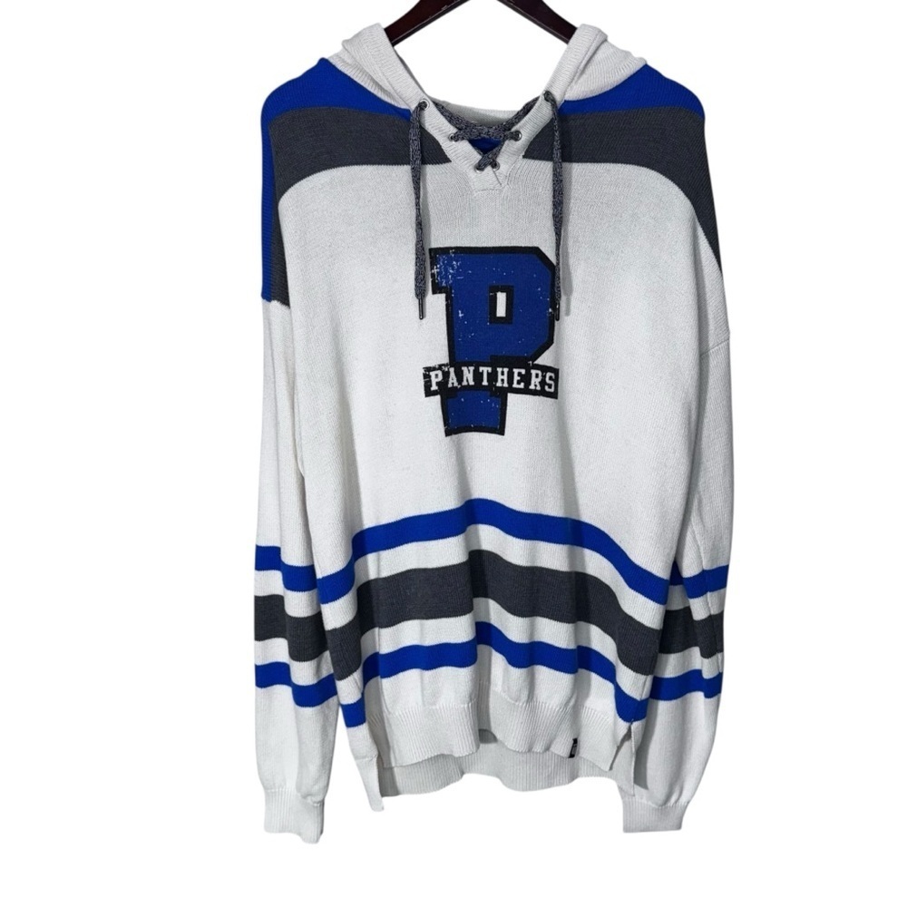 Bruzer Panthers Knit Hooded Sweater Size XL Academia Collegiate Preppy